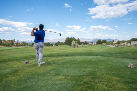 ENGINEERED FOR LONGEST DISTANCE: COBRA LTDX LS