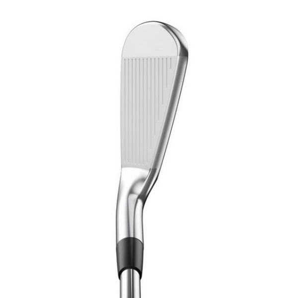 Mizuno Pro 225 Iron Set 4-PW DG 105 R300