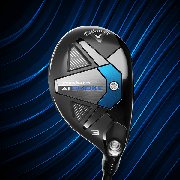 Paradym Ai Smoke Hybrid