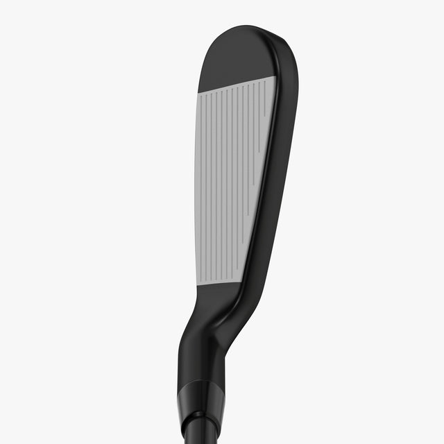 Apex Ai300 Black Shadow Irons