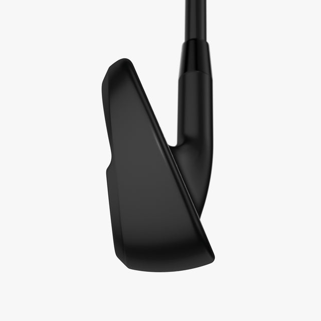 Apex Ai300 Black Shadow Irons
