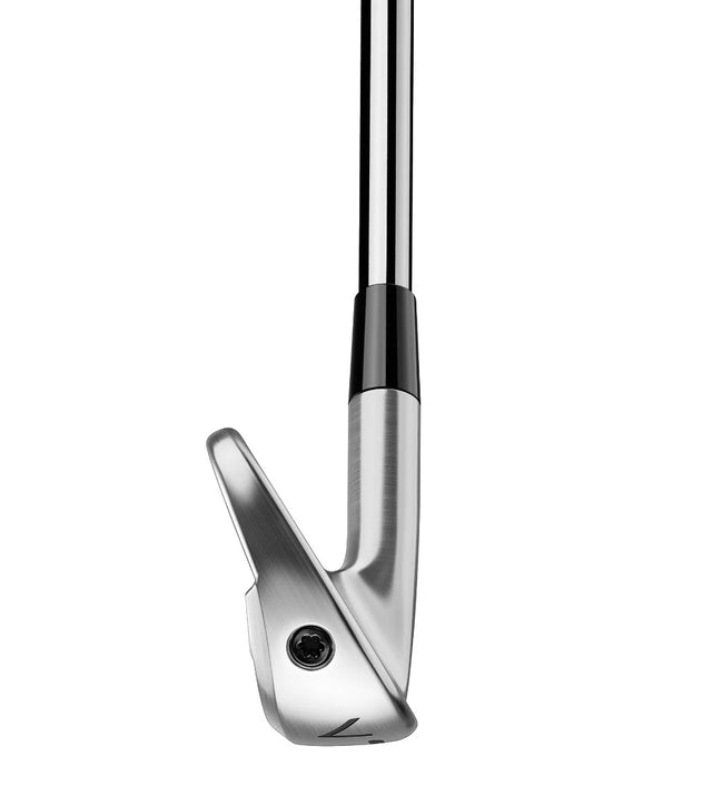TaylorMade P770 Irons