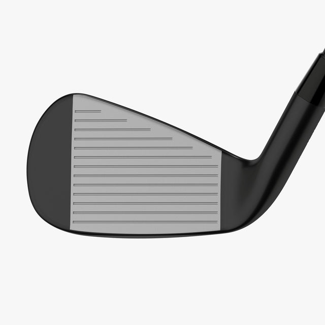 Apex Ai300 Black Shadow Irons