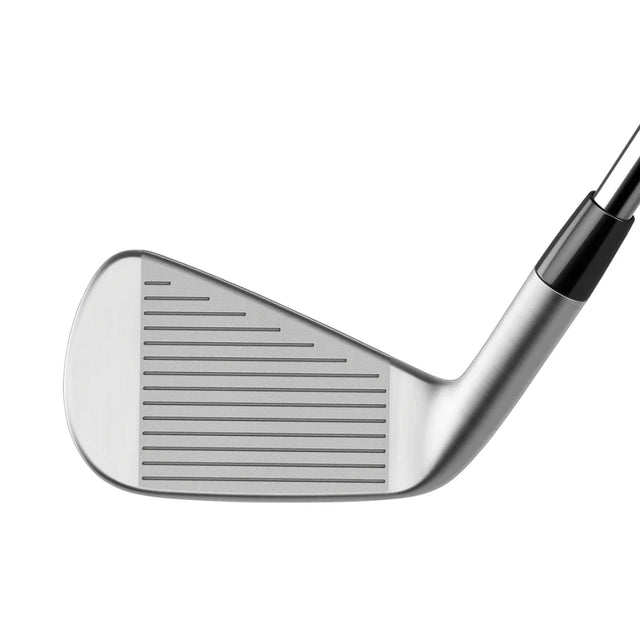 TaylorMade P790 Irons