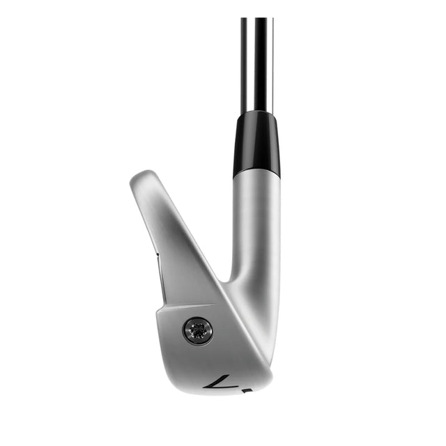 TaylorMade P790 Irons